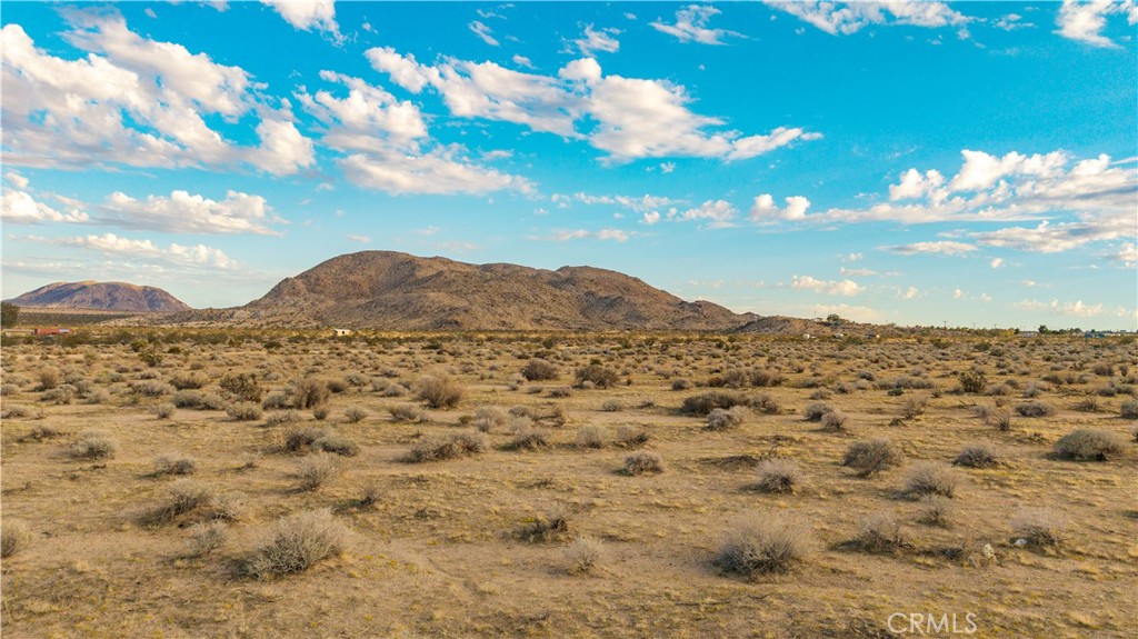 MLS #JT25244923 image #1