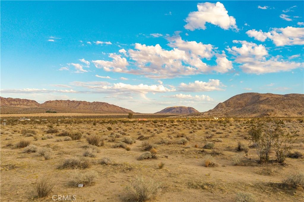 MLS #JT25244923 image #2