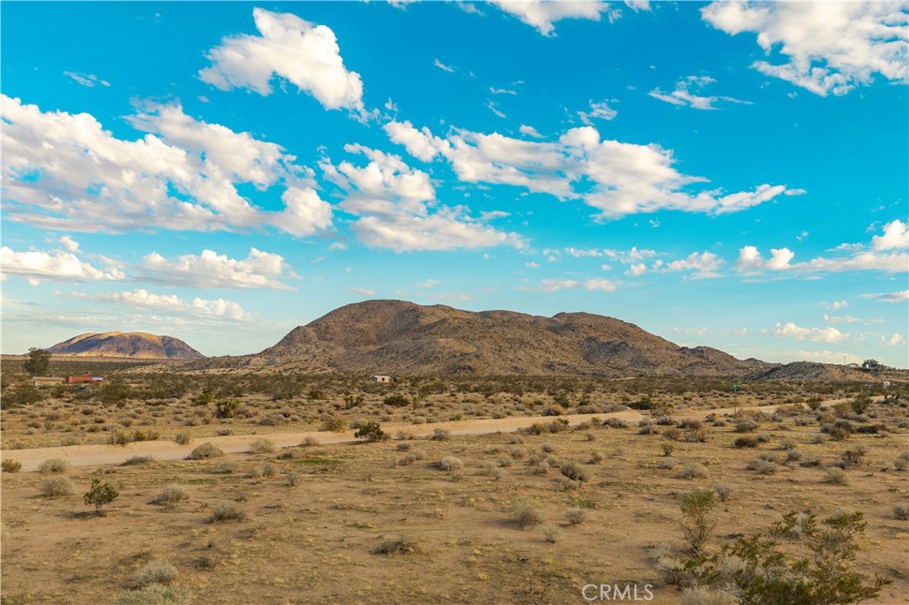 MLS #JT25244923 image #20