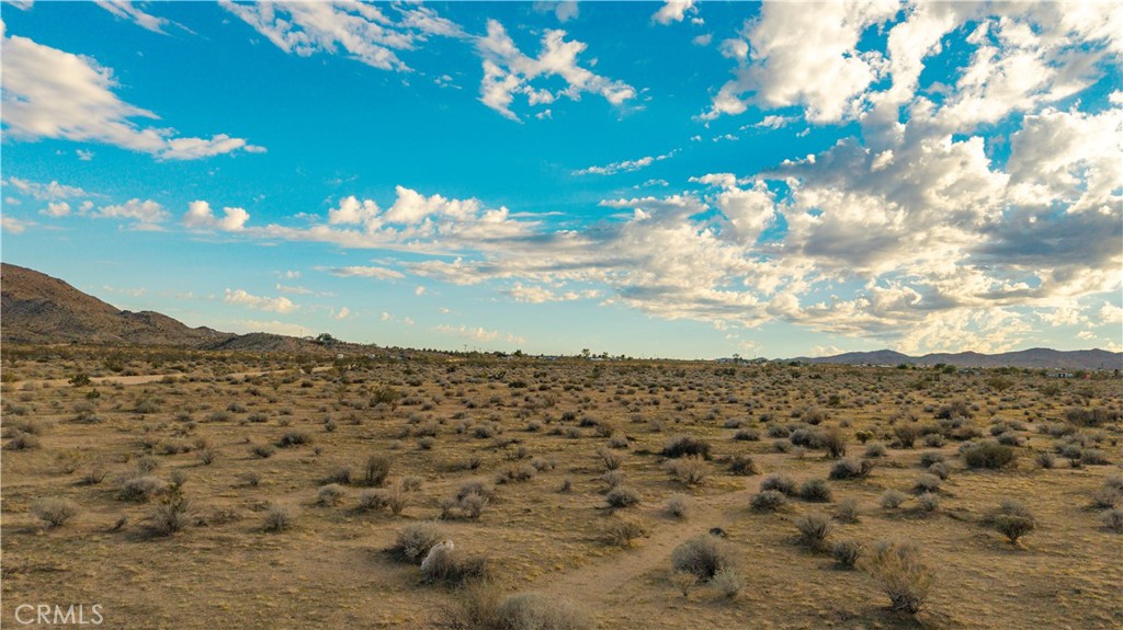 MLS #JT25244923 image #21