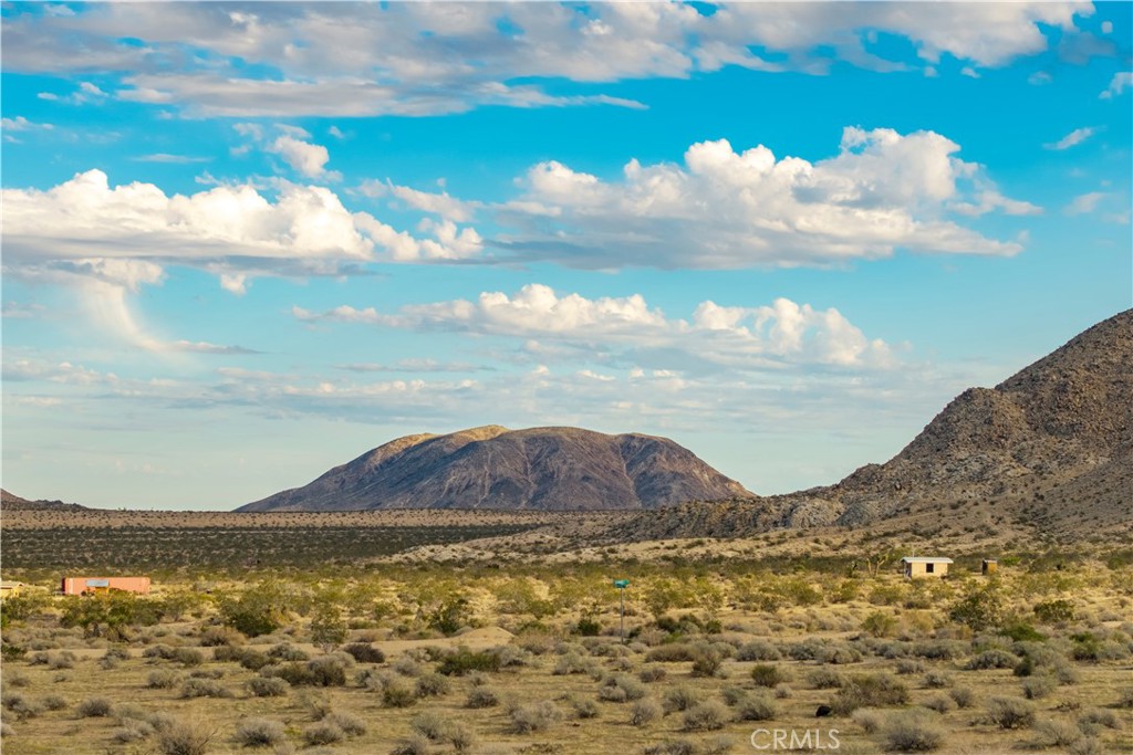 MLS #JT25244923 image #3