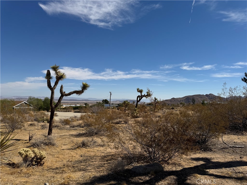 MLS #JT25245356 image #4