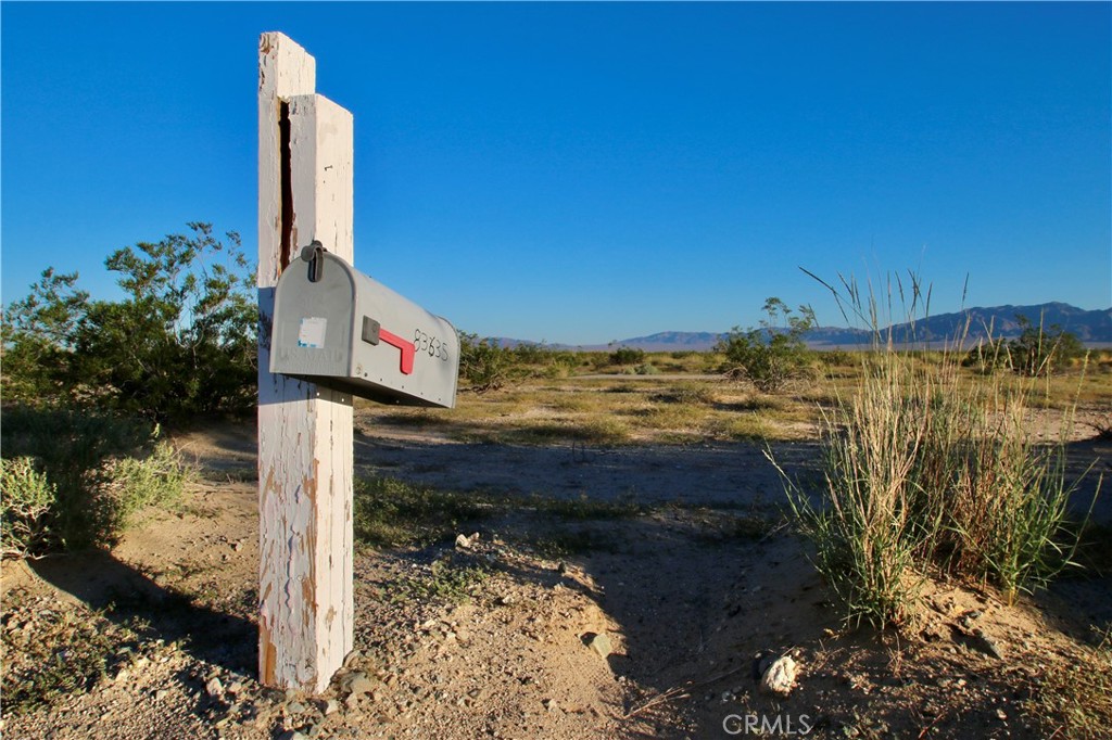 MLS #JT25246133 image #10