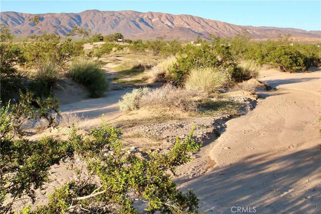 MLS #JT25246133 image #6