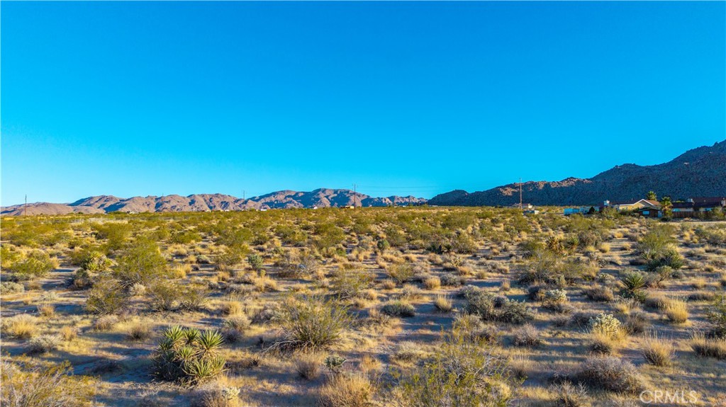 MLS #JT25246714 image #13