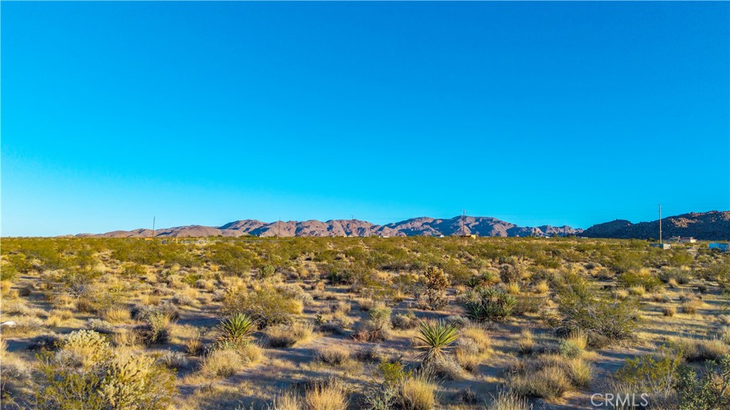 MLS #JT25246714 image #14