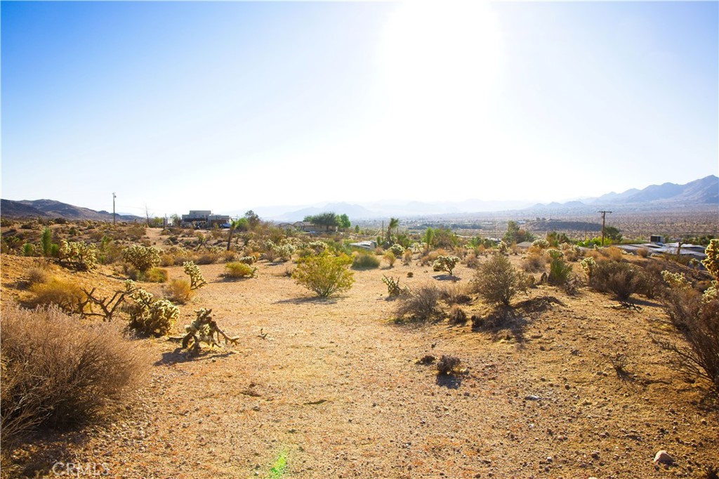 MLS #JT25246807 image #5