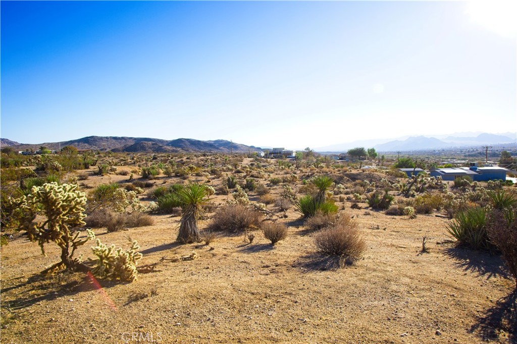 MLS #JT25246807 image #6