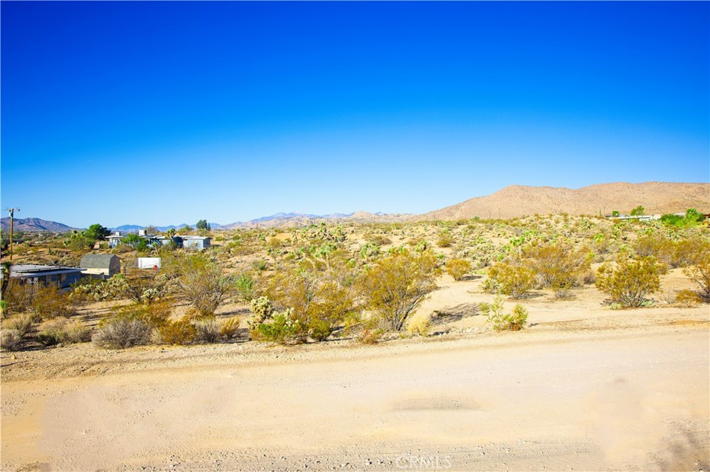 MLS #JT25246807 image #7