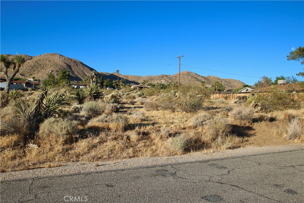 MLS #JT25246936 image #12