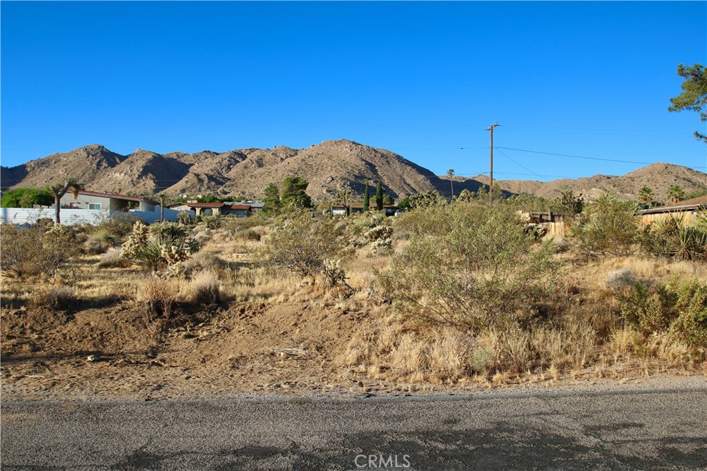 MLS #JT25246936 image #13