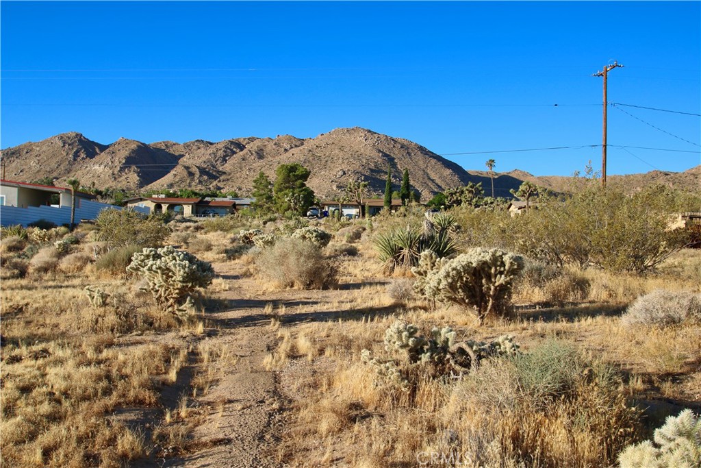 MLS #JT25246936 image #14