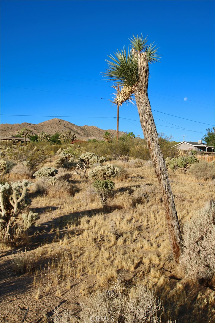 MLS #JT25246936 image #19