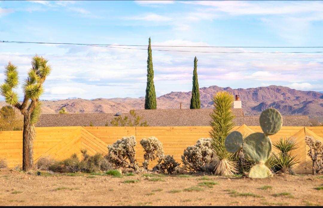 MLS #JT25247232 image #23