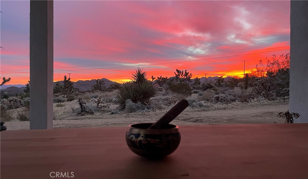 MLS #JT25247232 image #24