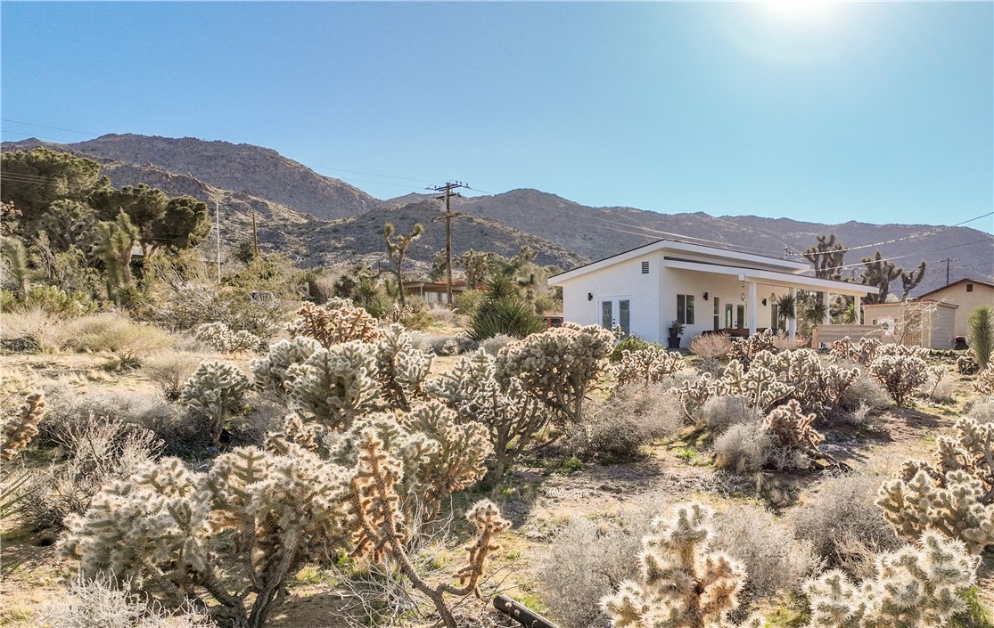 MLS #JT25247232 image #3