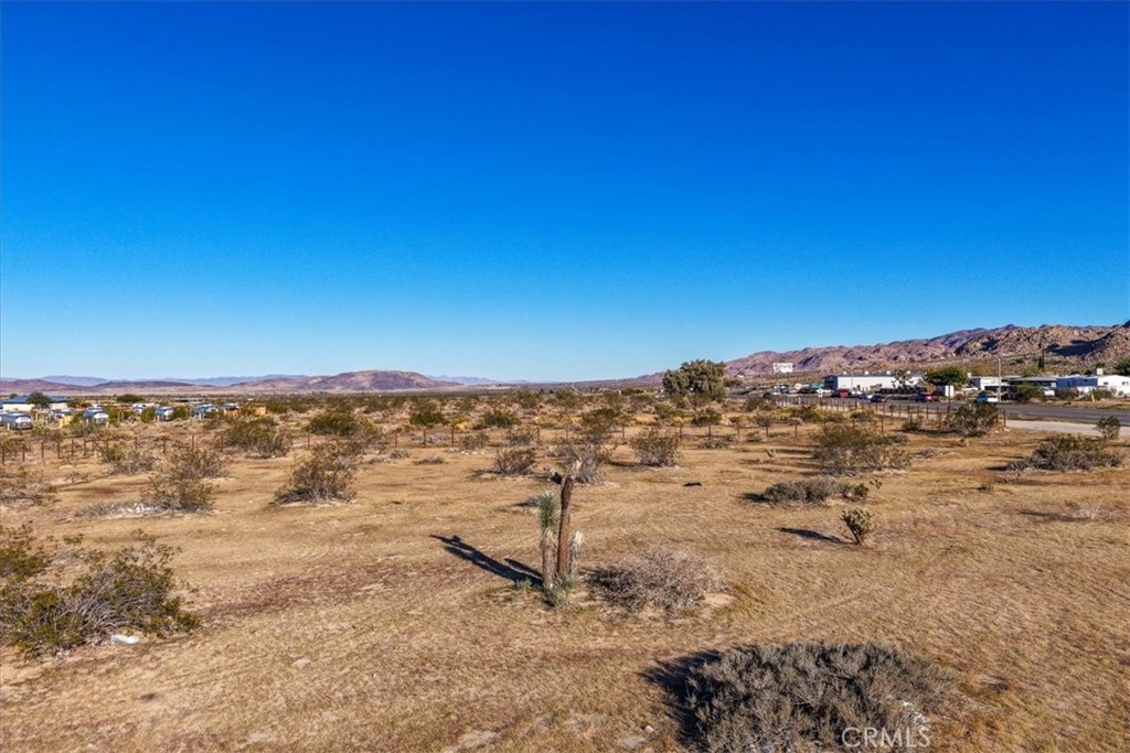 MLS #JT25248231 image #6