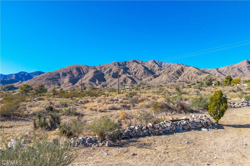 MLS #JT25250469 image #39