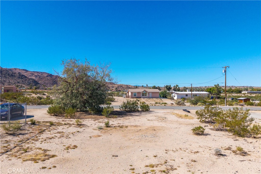 MLS #JT25250823 image #12