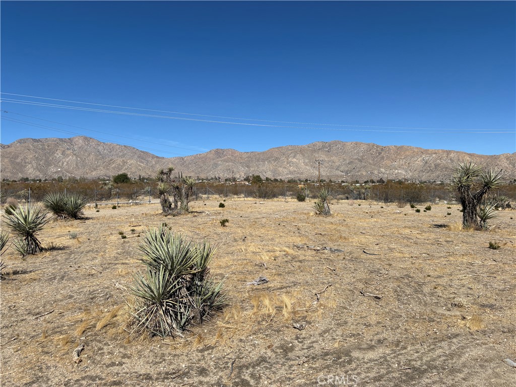 MLS #MB25005677 image #10