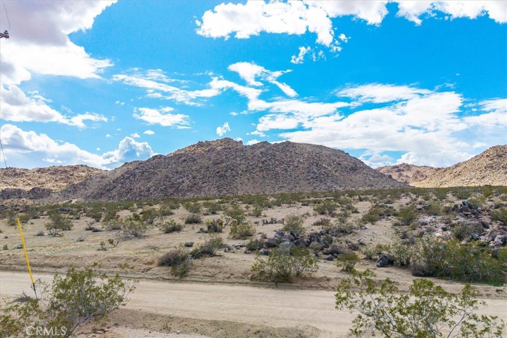 MLS #JT25032111 image #11