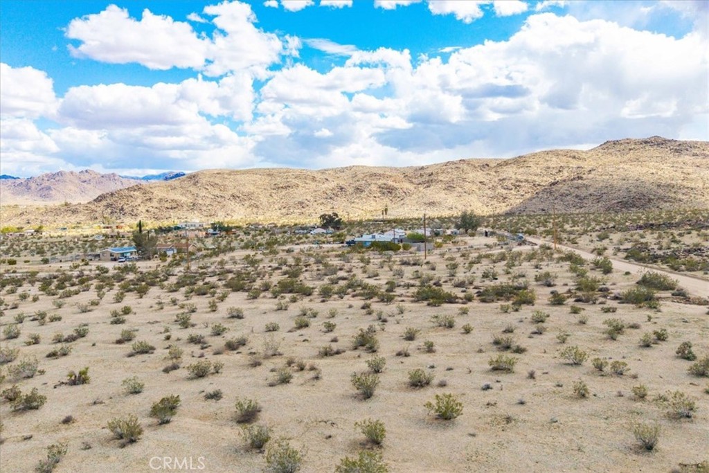 MLS #JT25032111 image #14