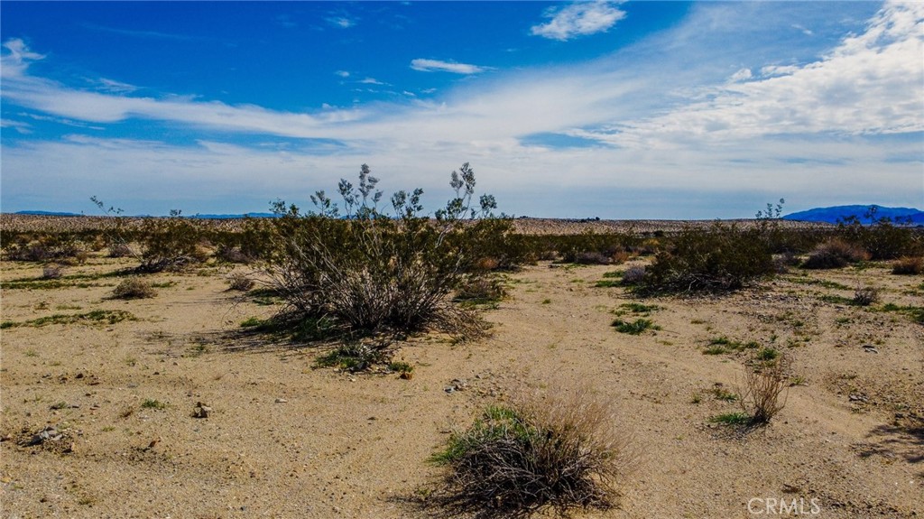 MLS #ND25103256 image #4