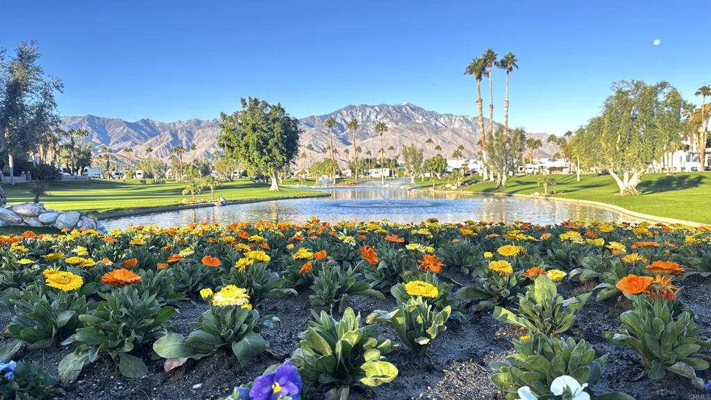 MLS #NDP2508774 image #4