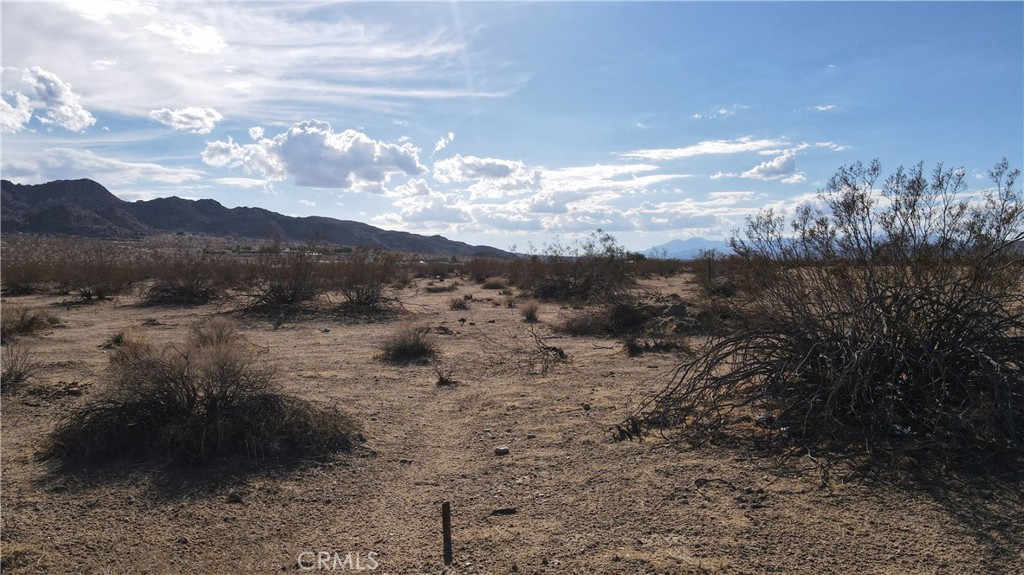 MLS #NP20067488 image #6