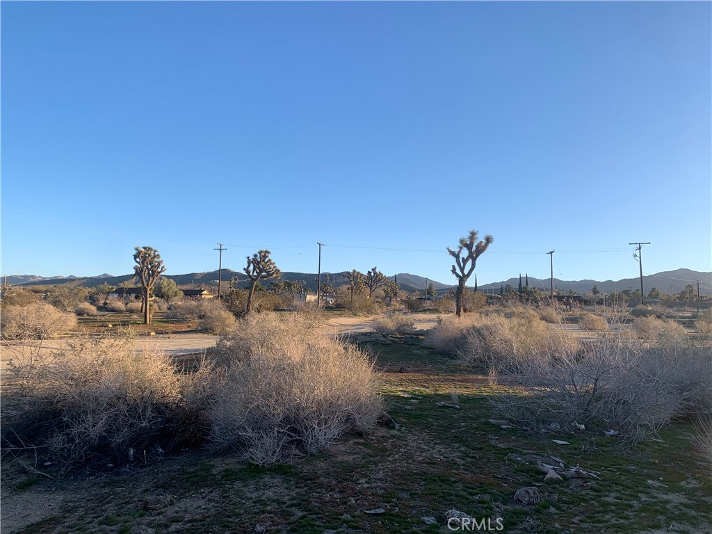 MLS #NP23100972 image #11