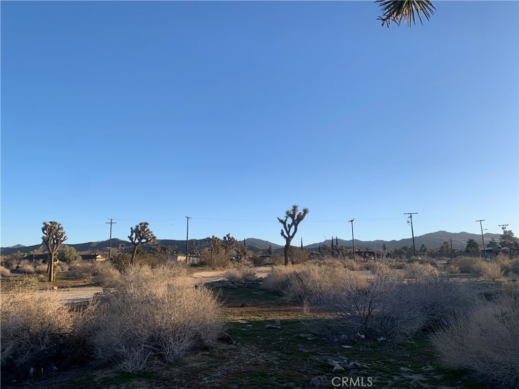 MLS #NP23100972 image #20