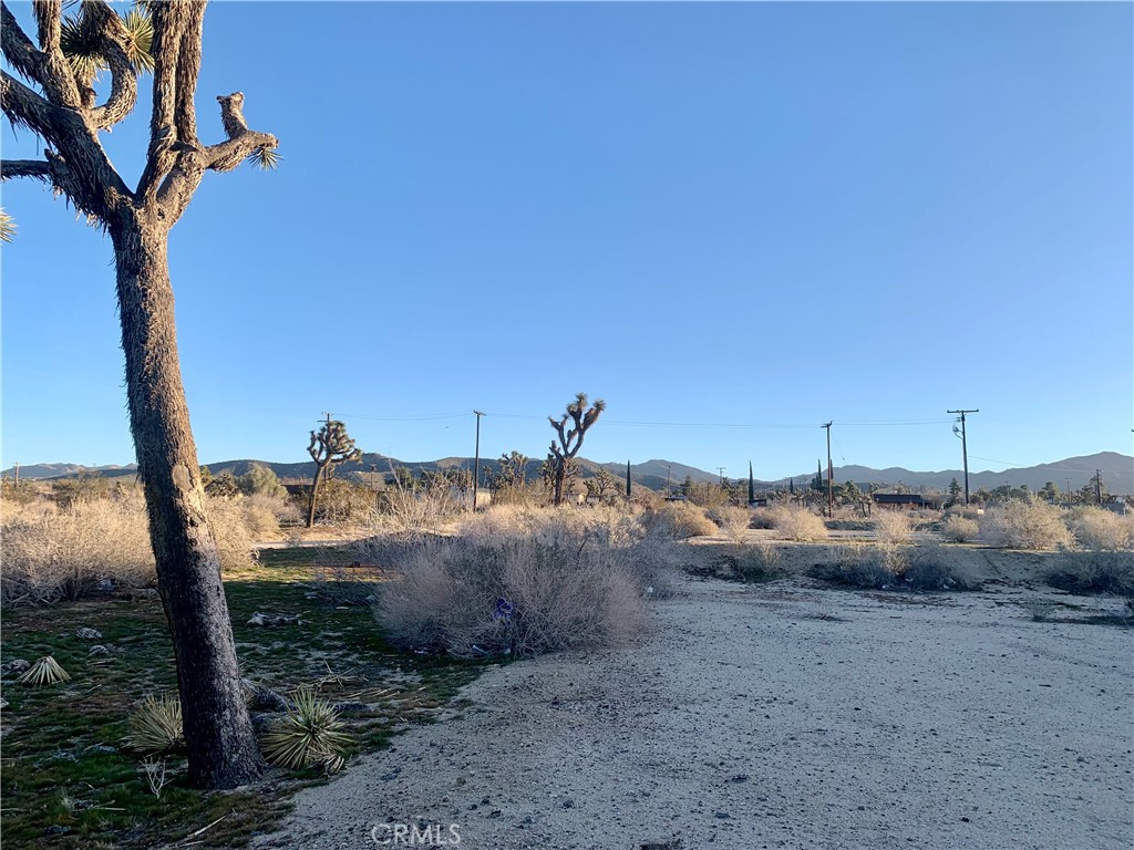 MLS #NP23100972 image #9