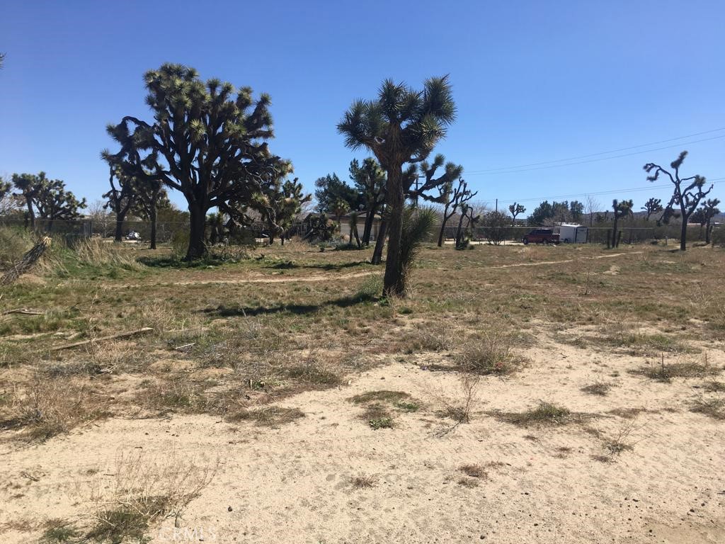 MLS #NP24045527 image #1