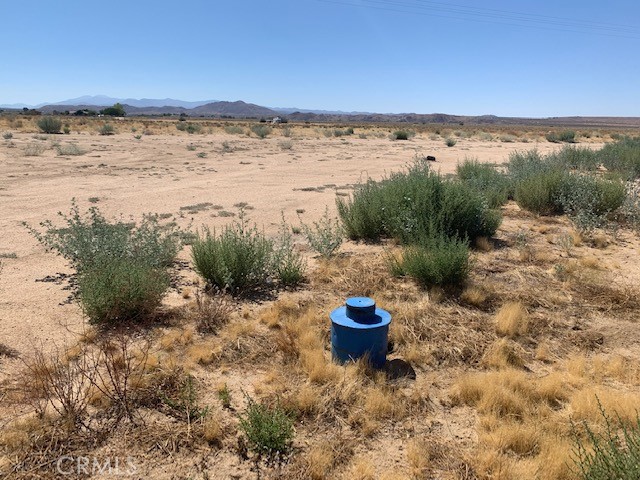 MLS #NP24151597 image #10