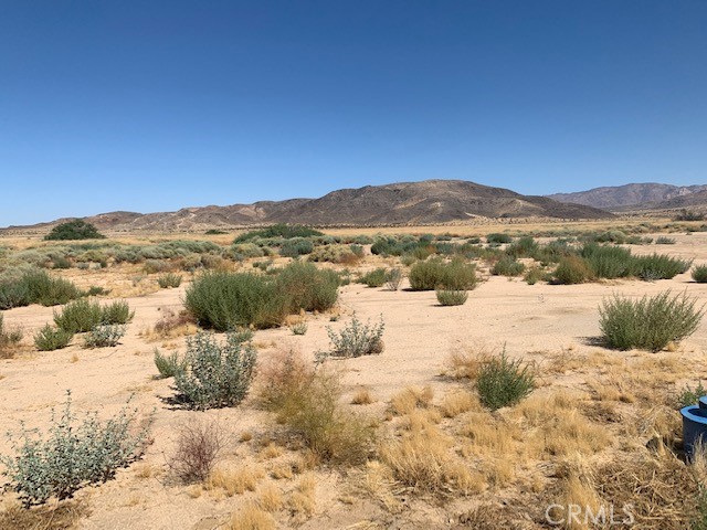 MLS #NP24151597 image #12