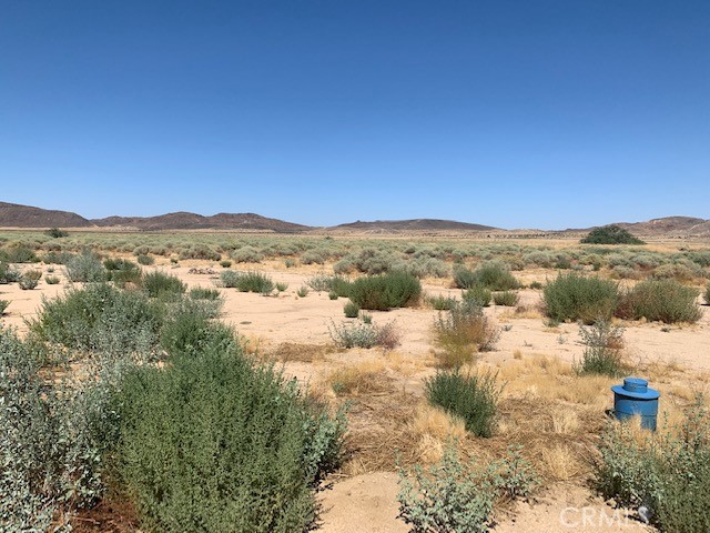 MLS #NP24151597 image #13