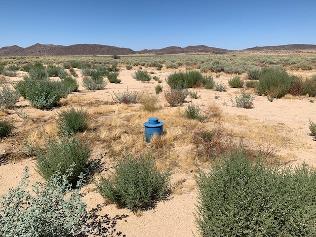 MLS #NP24151597 image #14