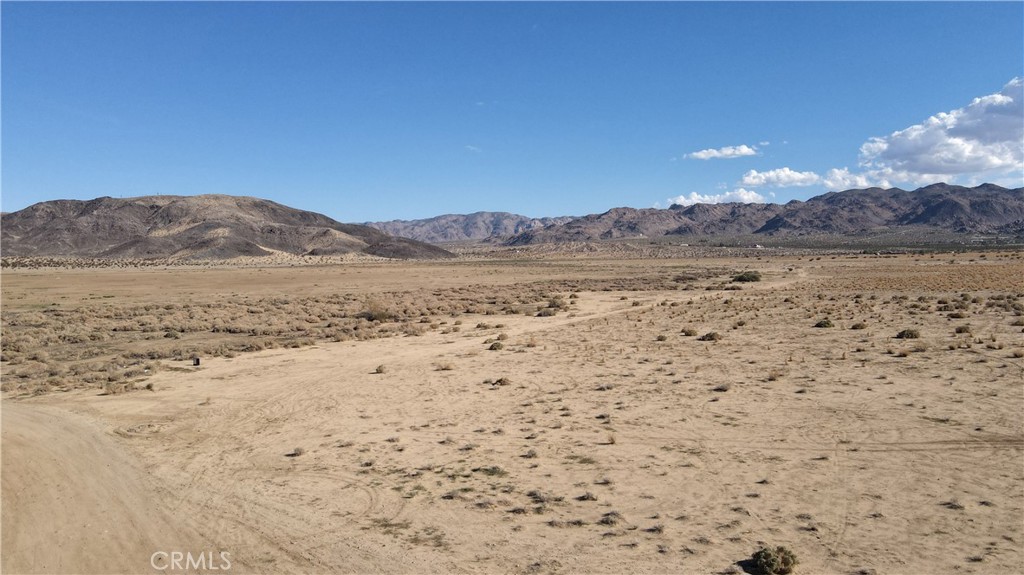 MLS #NP24151597 image #5