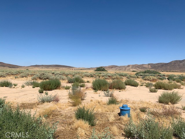 MLS #NP24151597 image #8