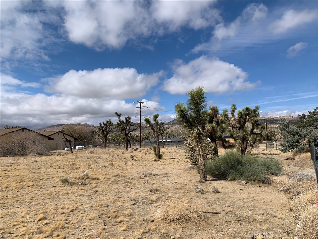 MLS #NP25067854 image #1