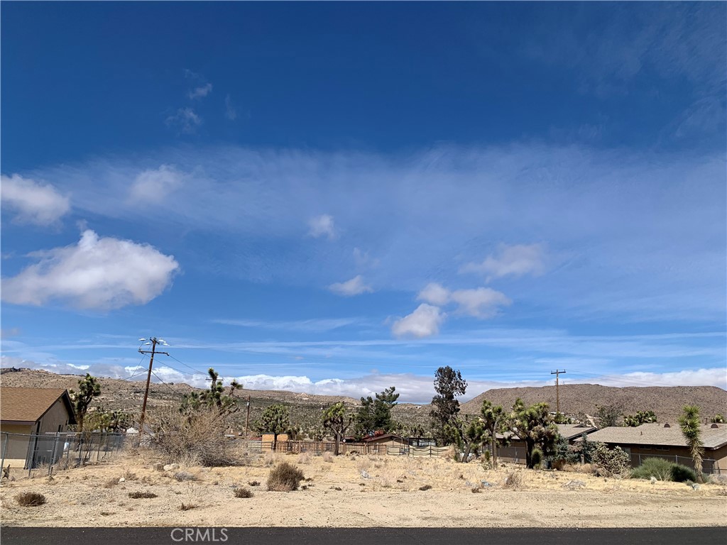 MLS #NP25067854 image #4