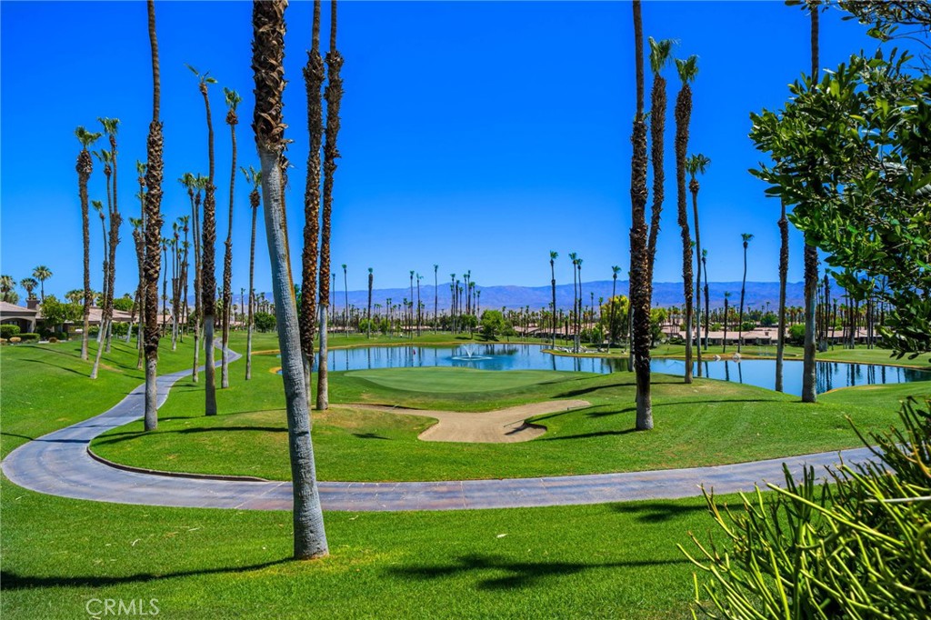 MLS #NP25123176 image #17