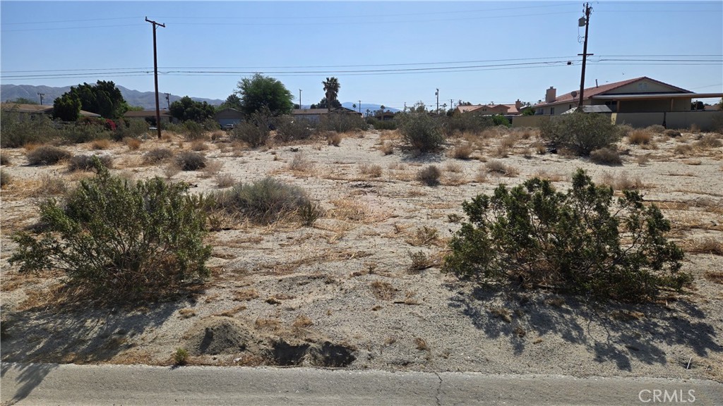 MLS #NP25135522 image #4