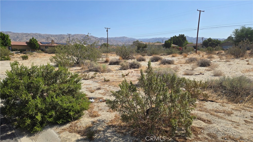 MLS #NP25135522 image #6