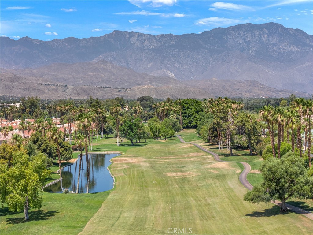 MLS #NP25140351 image #32