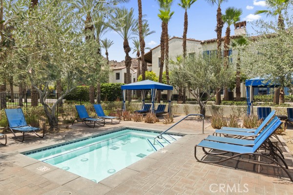 MLS #NP25169193 image #5