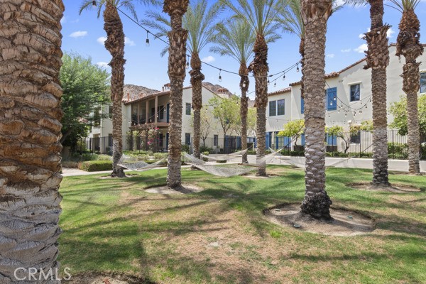 MLS #NP25169193 image #7