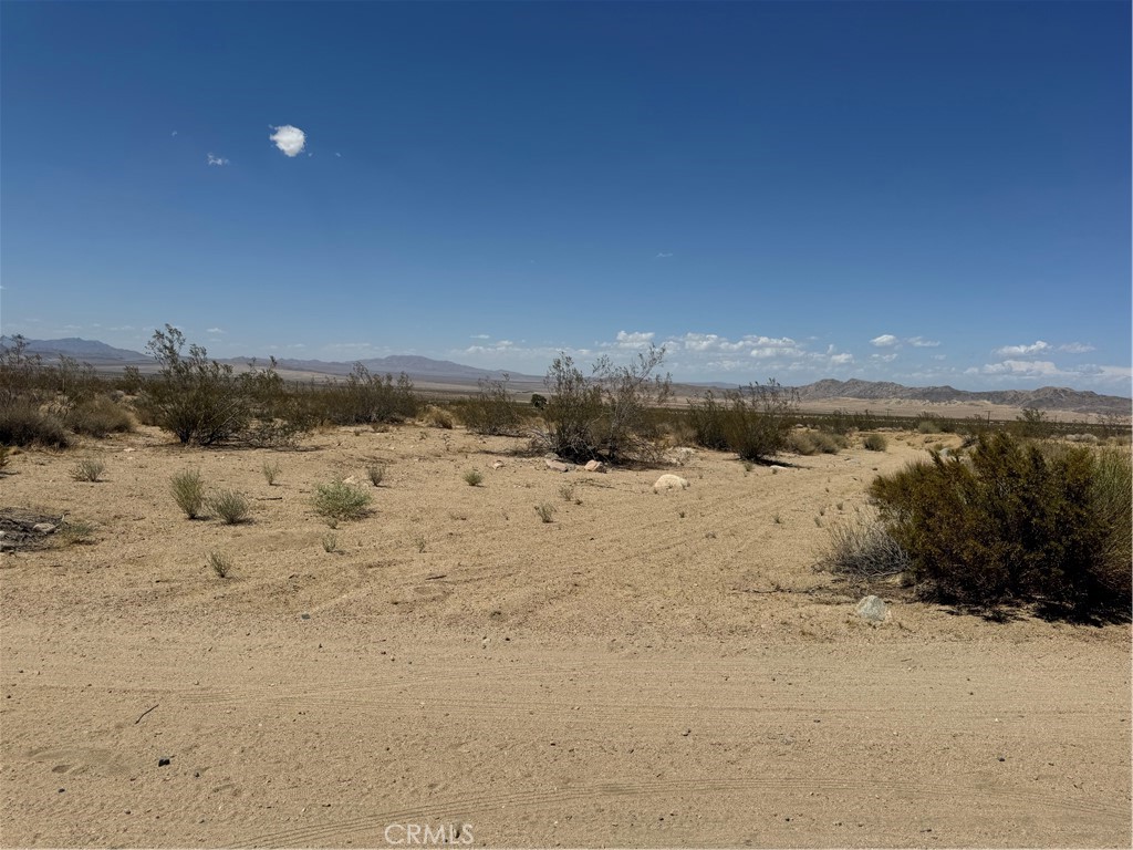 MLS #NP25170796 image #1