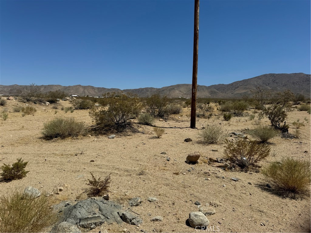 MLS #NP25170796 image #2