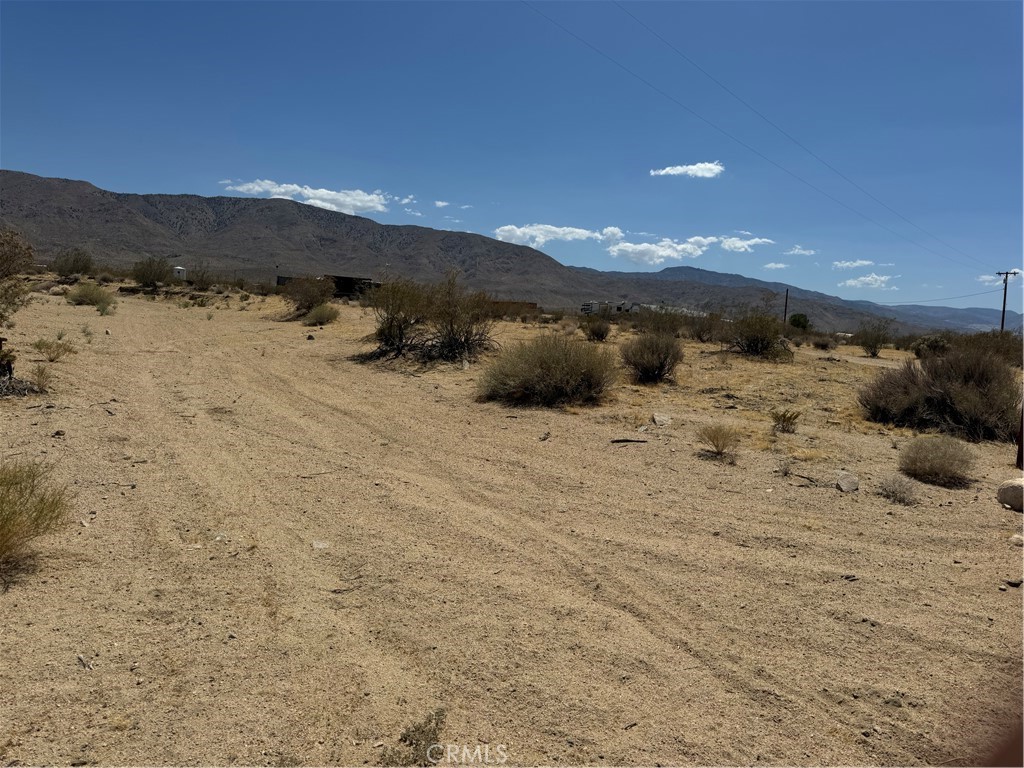 MLS #NP25170796 image #3